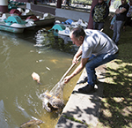 Ulrich Simons - Hangeweiher